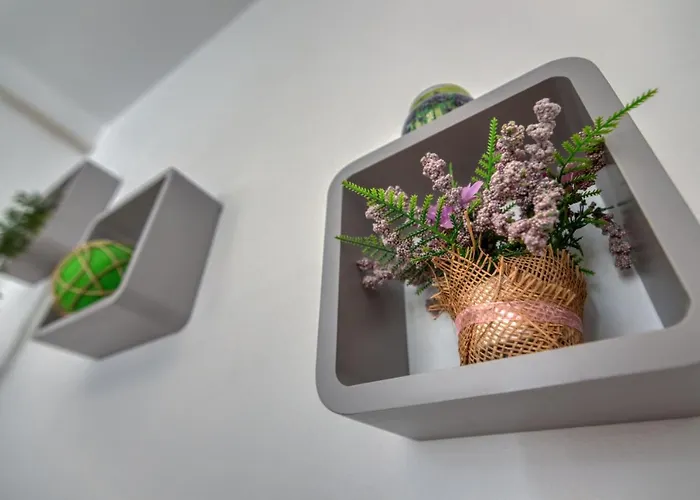 Ljube Apartamento
