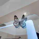 Ljube * 普拉