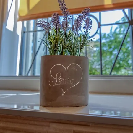 Apartment Ljube